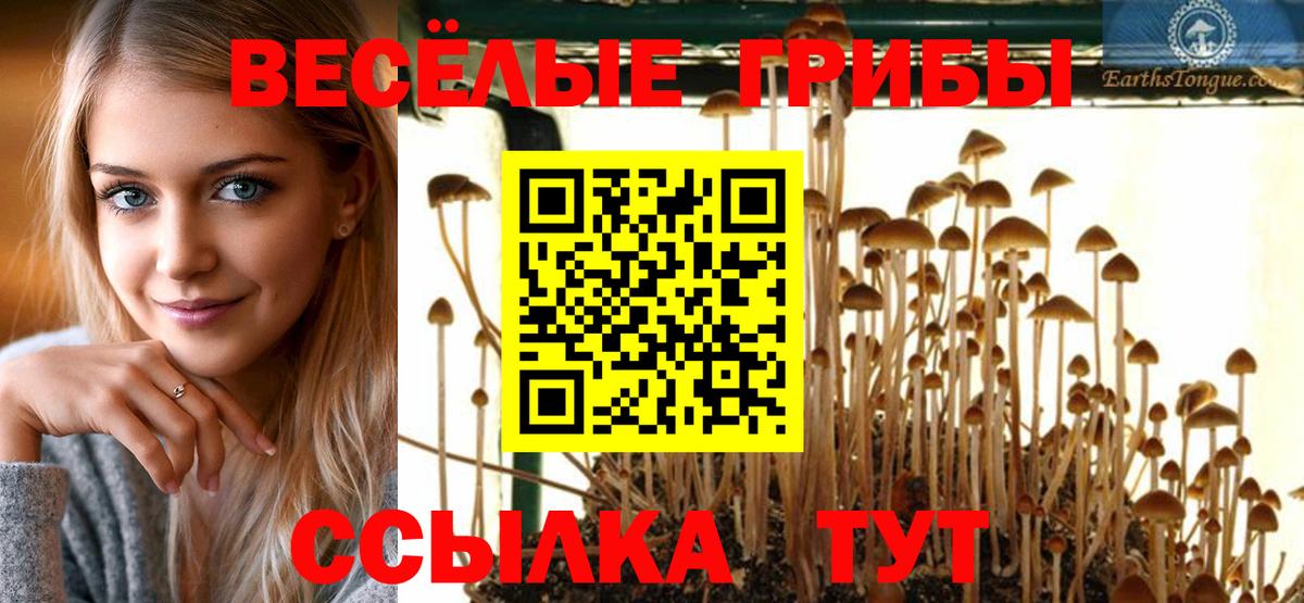 Галлюциногенные грибы ЛСД  Псилоцибиновые грибы мицелий  Набережные Челны  Вход с VPN 