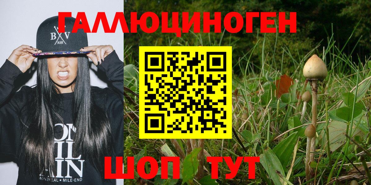 Галлюциногенные грибы мицелий Набережные Челны